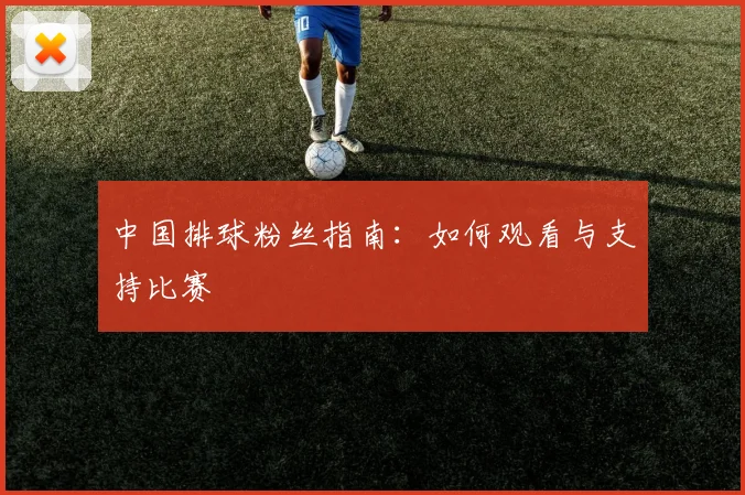 中国排球粉丝指南:如何观看与支持比赛